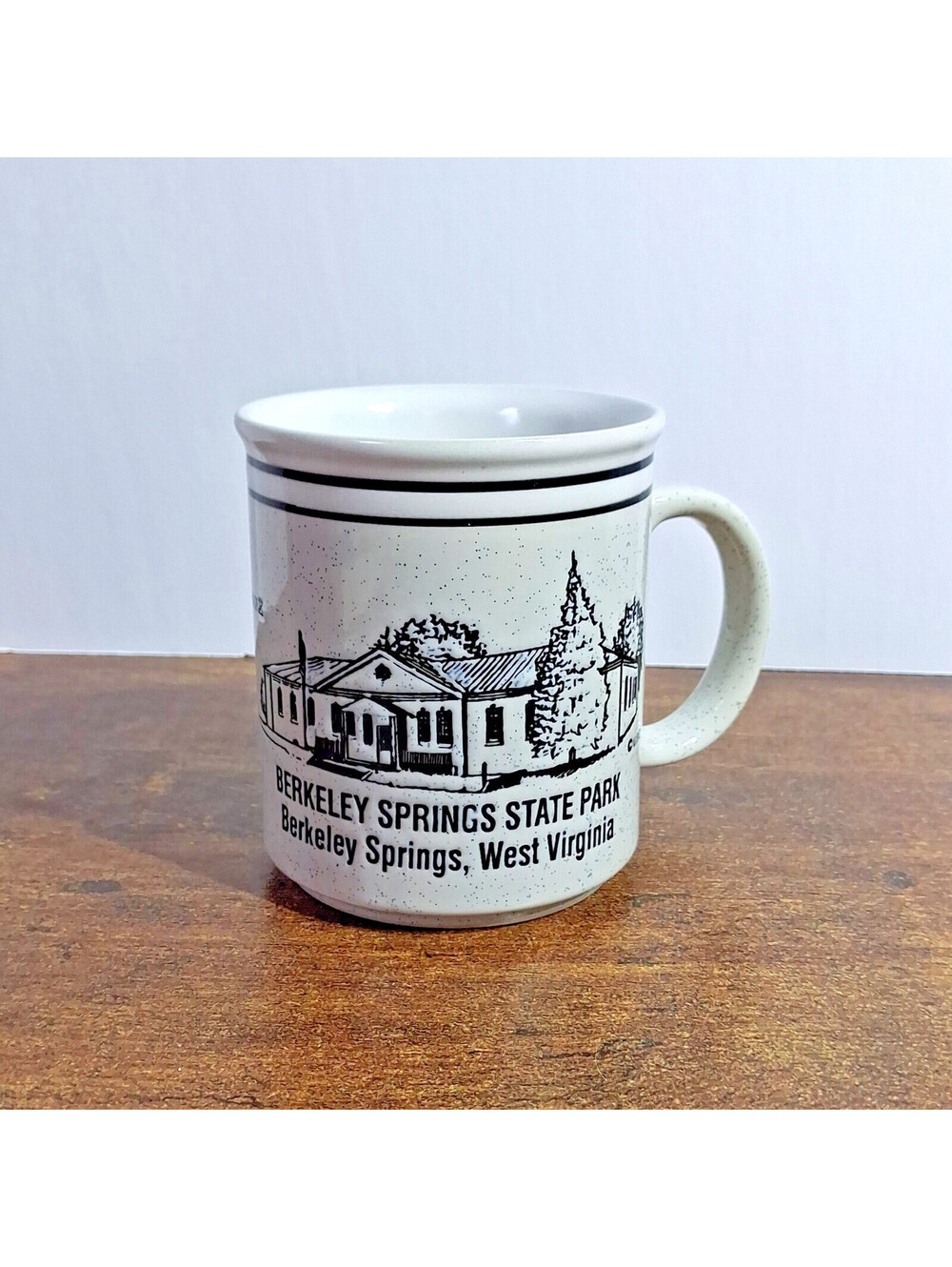 Vintage Berkeley Springs State Park West Virginia Coffee Tea Mug